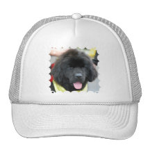 Cojín de ratón lindo de Terranova Gorras