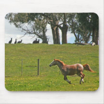 Cojín del caballo y de ratón de KangaROOS Tapete De Ratón