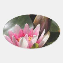 Cojín y flor de lirio calcomania óval
