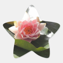 Cojín y flor de lirio colcomanias forma de estrella personalizadas