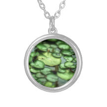 Cojines de lirio joyerías