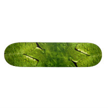 Cojines de lirio, textura de la charca del jardín, patines 