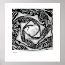 col, blanco y negro impresiones