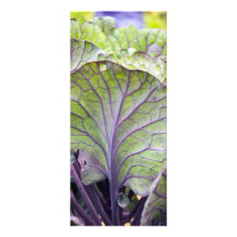 col ornamental lona