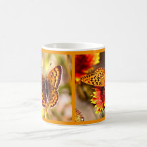¡Colección de la comida campestre de las mariposas Taza De Café