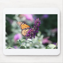 Colección de la mariposa de monarca - cojín de rat tapete de ratón