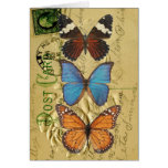 Colección de la mariposa felicitacion 