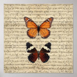 Colección de las mariposas del vintage impresiones