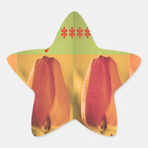 Colección de los brotes de flor de STBX Calcomanía Forma De Estrella