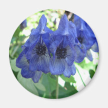 Colección del imán del Wildflower