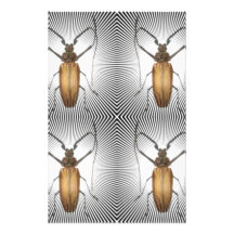 Colección del insecto - clan de la cucaracha papeleria