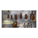 Colector del insecto - la colección del insecto tarjeta personal