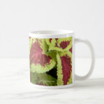 Coleo bonito taza