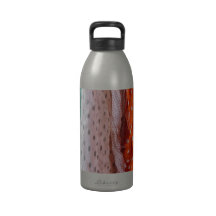 Colgante de las bufandas de las señoras que fluye botellas de agua reutilizables