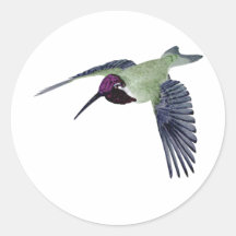 Colibrí de Costas Etiquetas Redondas