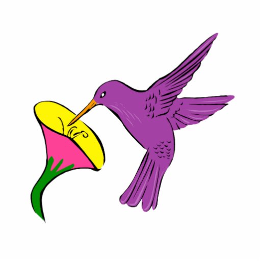 Imagenes de colibries animados - Imagui
