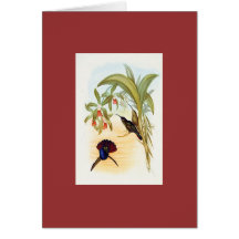 Colibrí del SABRE-Ala de Gould - de Lazuline Felicitación