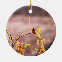Colibrí en ducha de lluvia adornos