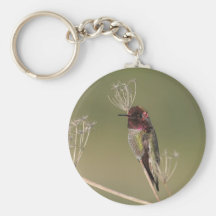 Colibrí en un llavero de la rama