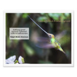 colibrí Espada-cargado en cuenta Fotografía