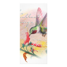 Colibrí - las pequeñas cosas son las más hermosas lonas