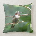 Colibrí masculino Throated de rubíes almohadas