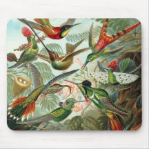 Colibrí Mousepad