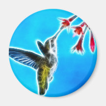 Colibrí que come el néctar imán para frigorifico