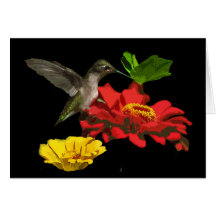 Colibrí que piensa en usted felicitación