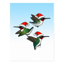 Colibrí Rubí-throated del navidad Postal