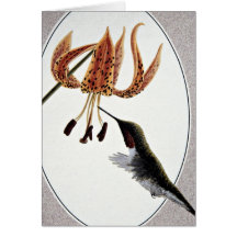 colibrí Rubí-throated Felicitaciones