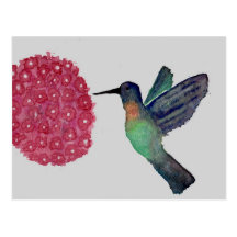 Colibri Tarjetas Postales