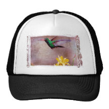 Colibrí verde gorra