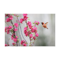 Colibrí y flores del vuelo impresiones de lienzo