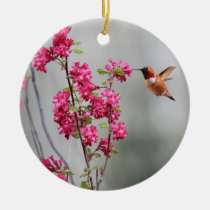 Colibrí y flores del vuelo adornos