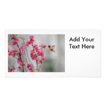 Colibrí y flores del vuelo tarjeta personal con foto