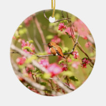 Colibrí y flores rufos adornos