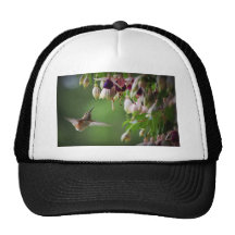 Colibrí y planta de Fushia Gorro