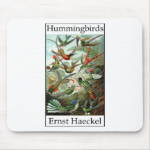 Colibríes de Ernst Haeckel Tapete De Raton