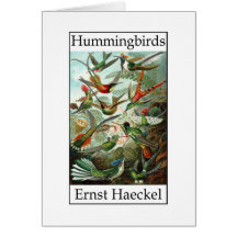 Colibríes de Ernst Haeckel Tarjetón