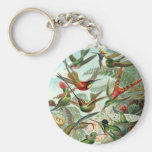 Colibríes Llavero