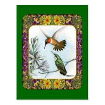 Colibríes y flores #2 postales