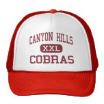 Colinas del barranco - cobras - centro - El Paso T Gorra