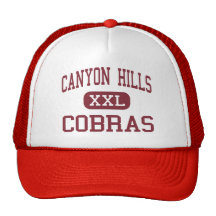 Colinas del barranco - cobras - centro - El Paso T Gorra
