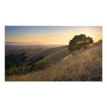 Colinas del este de la bahía de California en enlr