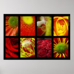 Collage de flores poster