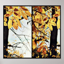 collage de la caída poster