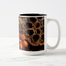 Collage de la cosecha de la caída taza de café