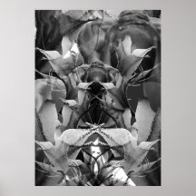 Collage del lirio impresiones