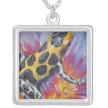 Collar 2 de la rana